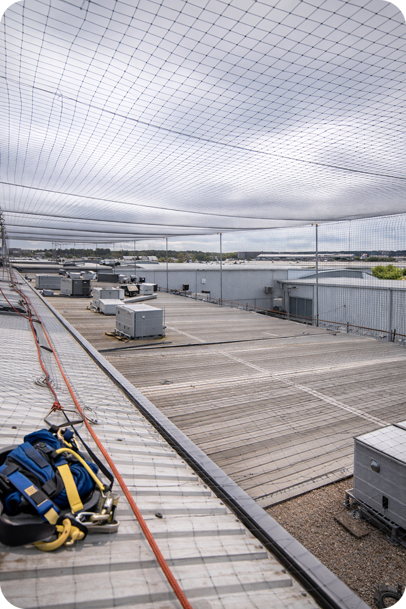 Bird proofing netting installed on a commercial building roof in Cardiff to prevent pigeons nesting.