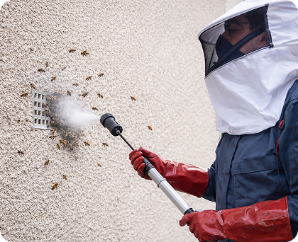 pest control technician spraying insecticide to treat hornet nest, Common Hornet Problems We Deal With​